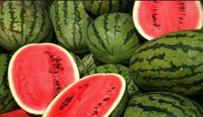 تعلم كيفية أختيار البطيخ الناضج حتى لا يخدعك التجار!