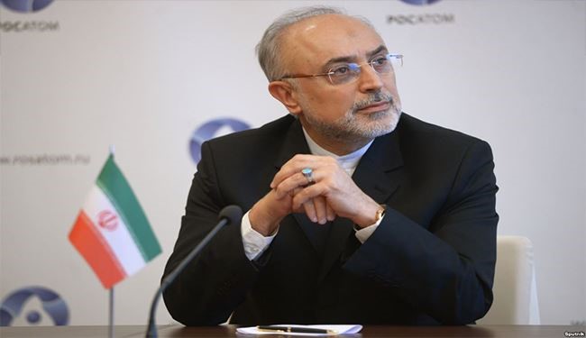 صالحي: العدو يخشى تحول ايران لانموذج للتنمية بالعالم