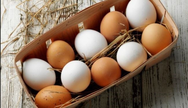 الفرق بين البيض الأبيض والبني.. أيهما أكثر فائدة؟
