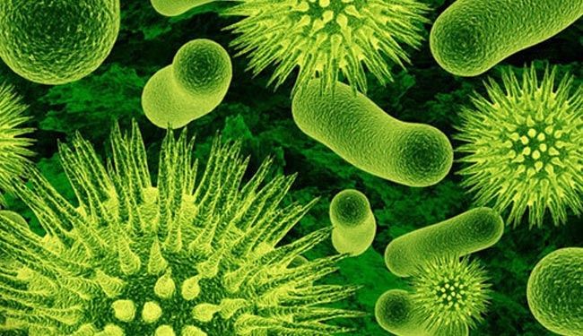 سوپر باکتریهای مرگ آور در کمینند