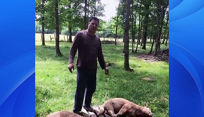 ينجو من حادث الطائرة المصرية فيذبح خروفين ابتهاجا!