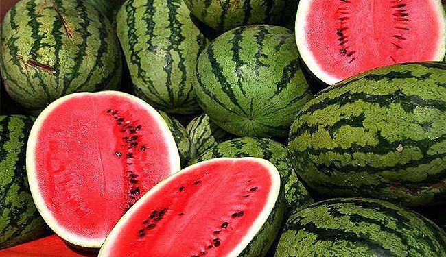 البطيخ.. فوائد بالجملة لـ