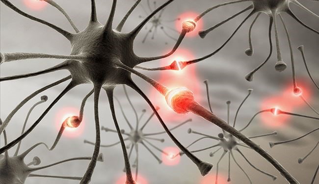 اكتشاف بروتين يحمي من الزهايمر