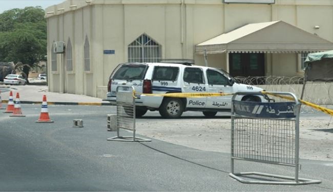منظمة 