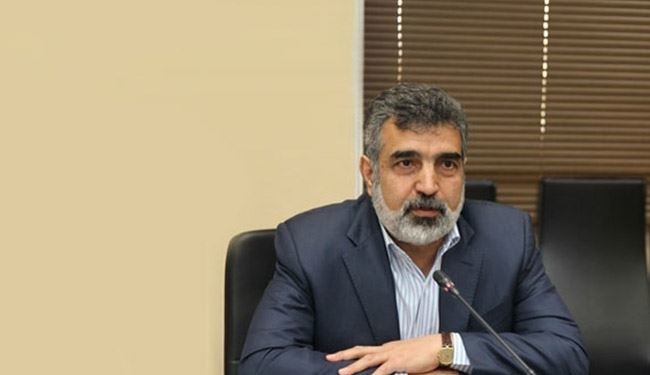 ايران تحتج اليوم لدى الوكالة الذرية لكشف أسرارها النووية