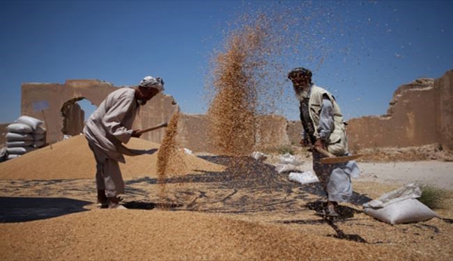 ۷ میلیارد جمعیت جهان چه کار می کنند؟