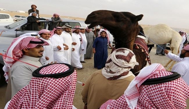 ثامر السبهان: التطور الذي تشهده السعودية أغاظ ايران!