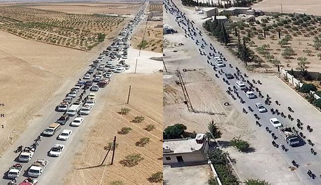 صور لاستخدام 