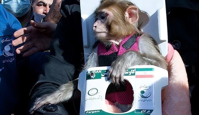 رونمایی از 