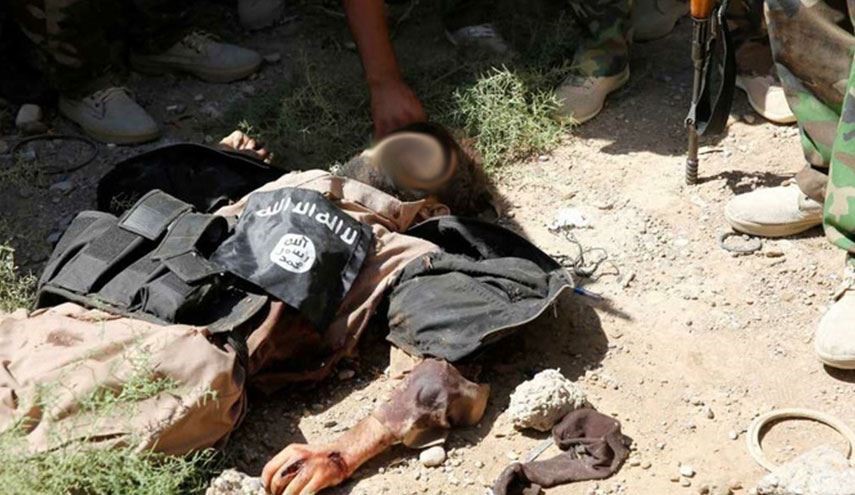 مقتل مستشار البغدادي ومجند اشبال الخلافة بنينوى