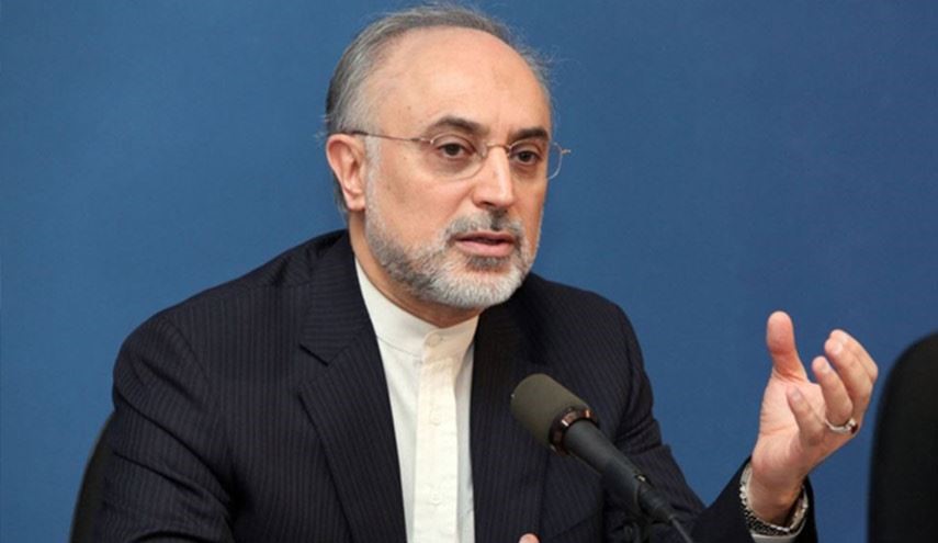 صالحي: الطرف الآخر لم یکن بالمستوی المتوقع منه في تنفیذ تعهداته