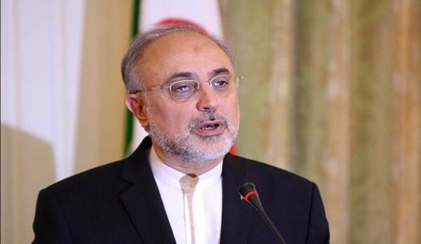 صالحي: التعاون النووي بین ایران وأوروبا یتعزز بسرعة