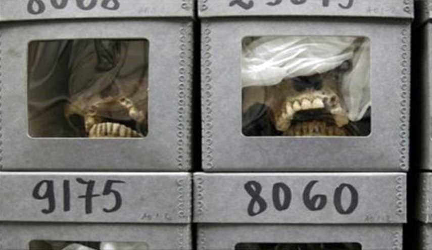 الاستعمار الفرنسي يكشف حقائق دفن جماجم مقاومين جزائريين