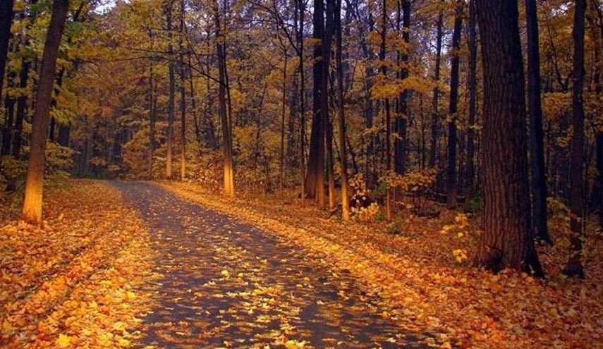 تصاویر فوق العاده زیبای پاییز