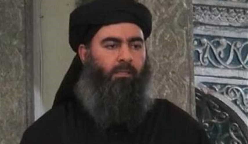 هوشیارزیباری: «ابوبکرالبغدادی» هنوزداخل شهرموصل است