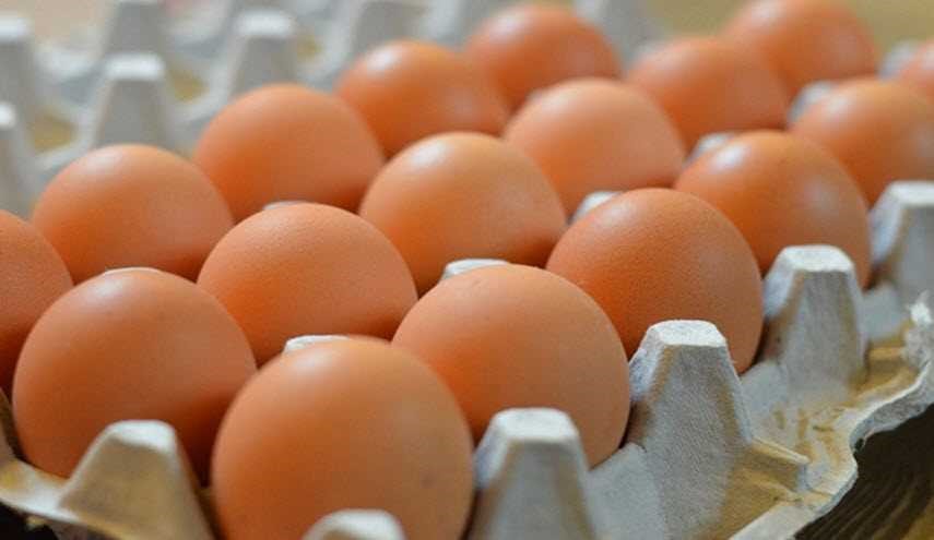 بيضة يومياً تحميك من السكتة الدماغية والجلطات