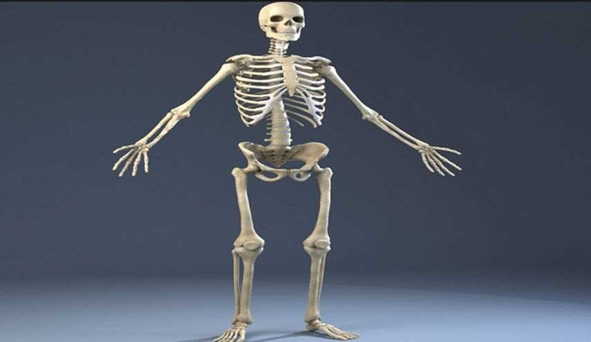 هذا الـ