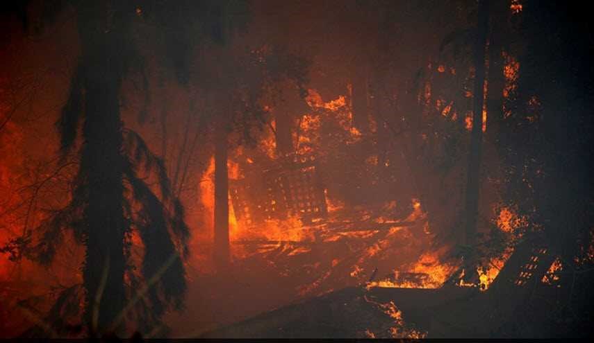 الاحتلال يبرر عجزه اطفاء الحرائق باعتقال 