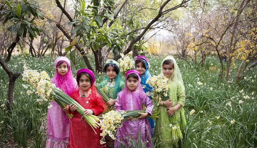 نرگس زارهای بخش خفر از توابع شهرستان جهرم