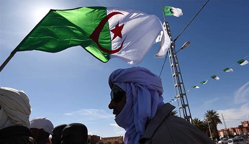 إحباط عملية انتحارية لـ 