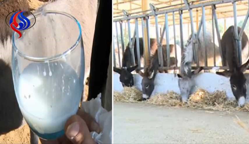 استخدام 