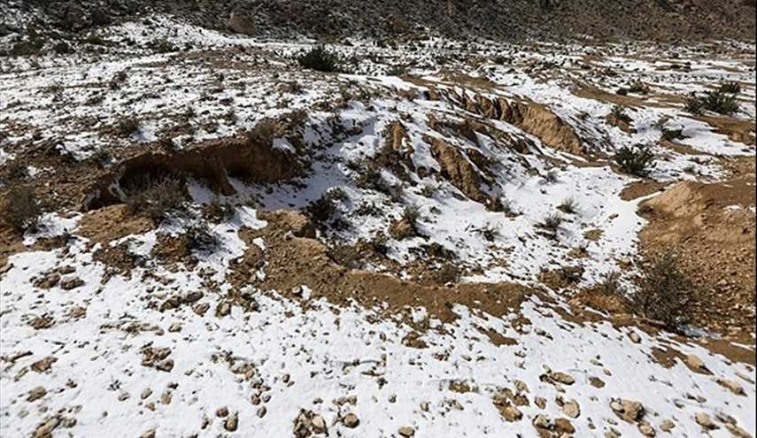 بالصور.. لاول مرة بالتاريخ، هطول الثلوج بمنطقة 