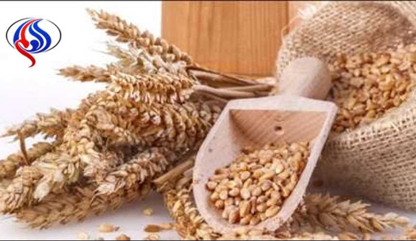 هفت دلیل برای مصرف بیشتر غلات