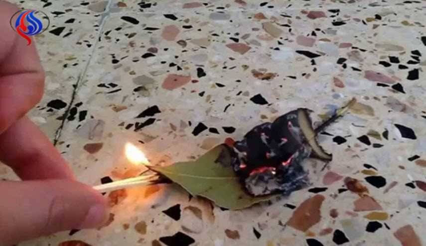 اشعلوا 