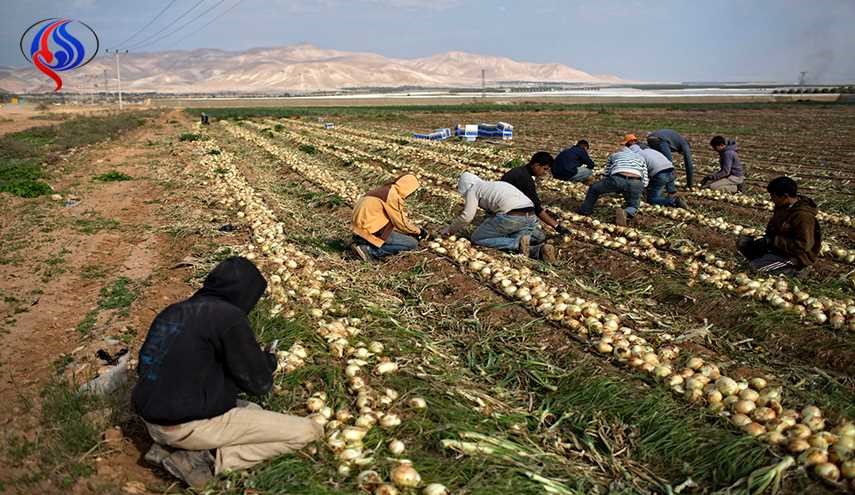 گزارش بین المللی : اسرائیل، فلسطینی‌ها را مسموم می کند!