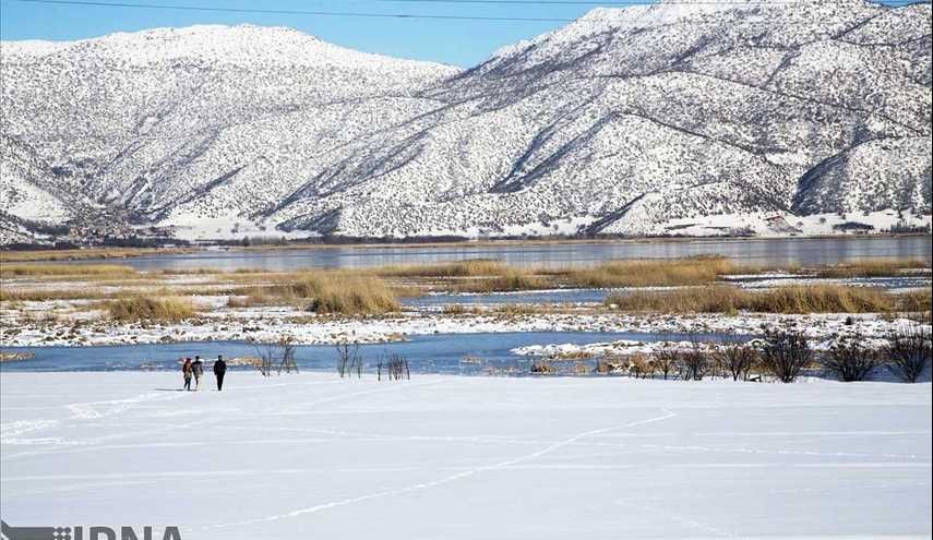 طبیعت زمستانی شهرستان مریوان‎/ تصاویر
