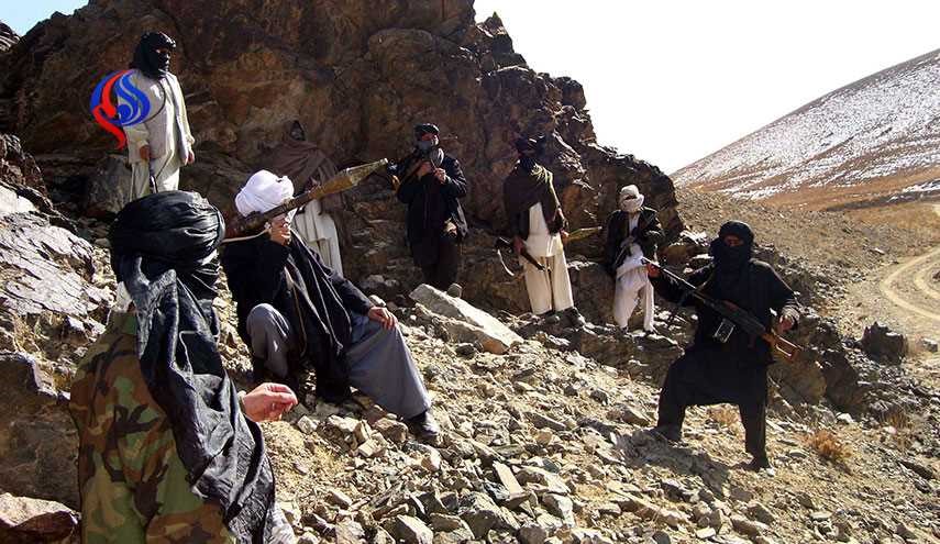 سرکرده طالبان خطاب به افغان‌ها: درخت بکارید!