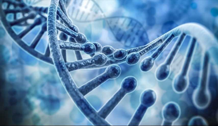 DNA  تمام موجودات رمزگشایی می شود؟