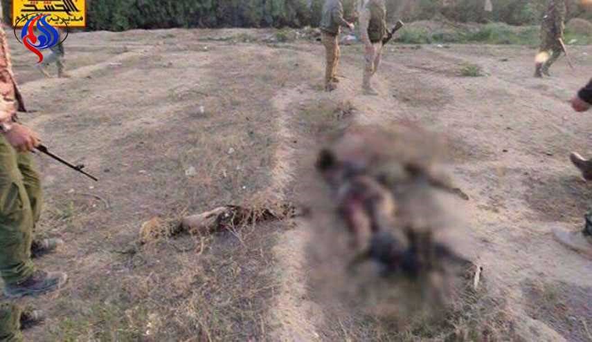 قنص 3 انتحاريين والعثور على معمل للعبوات الناسفة في سامراء المقدسة