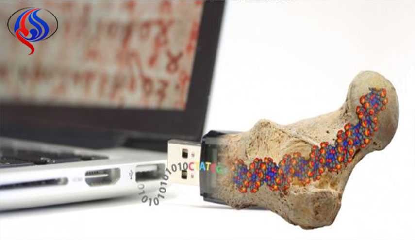 اطلاعات DNA چند هزار سال بقی می ماند؟