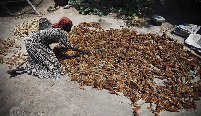 صور مروعة من السودان