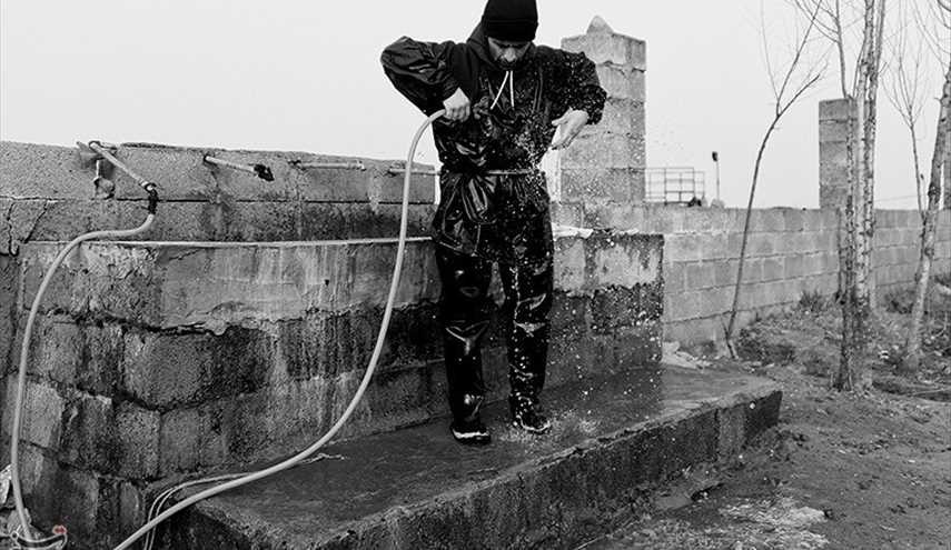 ماهیگیری در بندرانزلی/ تصاویر