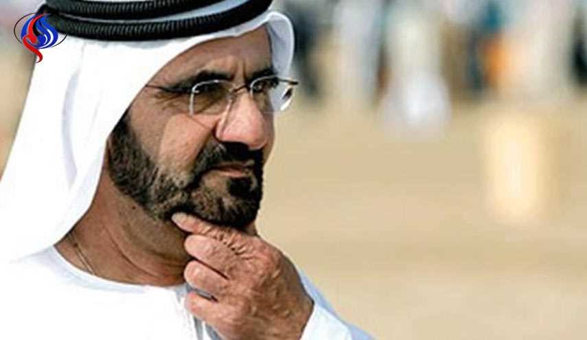 ما بين قطة الامارات واطفال اليمن.. دردشة مع حاكم دبي؟!