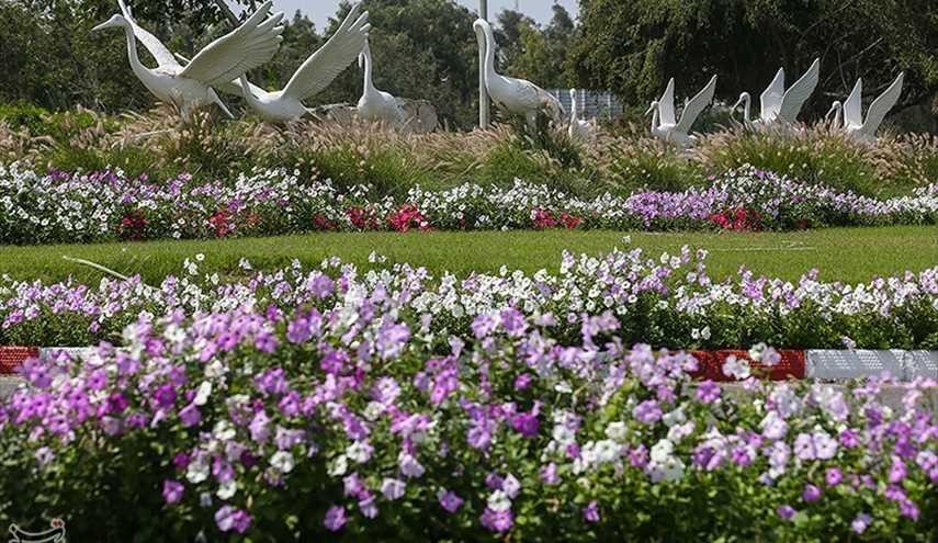 قدوم الربيع في جزيرة كيش الايرانية
