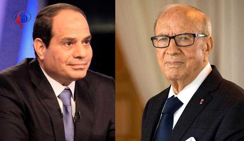 السيسي والسبسي يشيدان بجهود العراق في مكافحة الارهاب