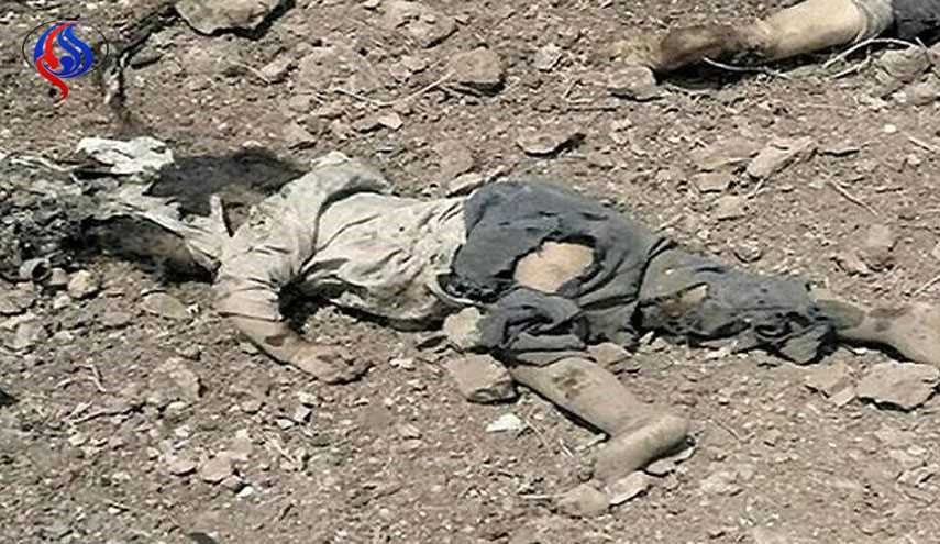 مجزرتان بينهم نساء واطفال بقصف سعودي على مأرب وقنبلة عنقودية على تعز