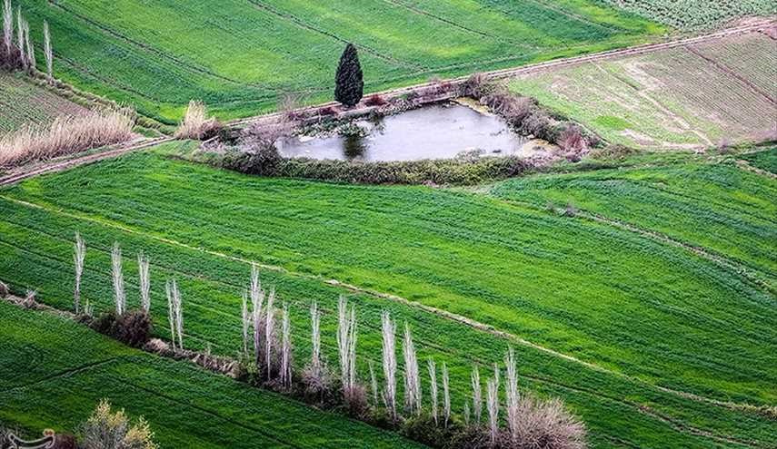 طبیعت بهاری گرگان | تصاویر