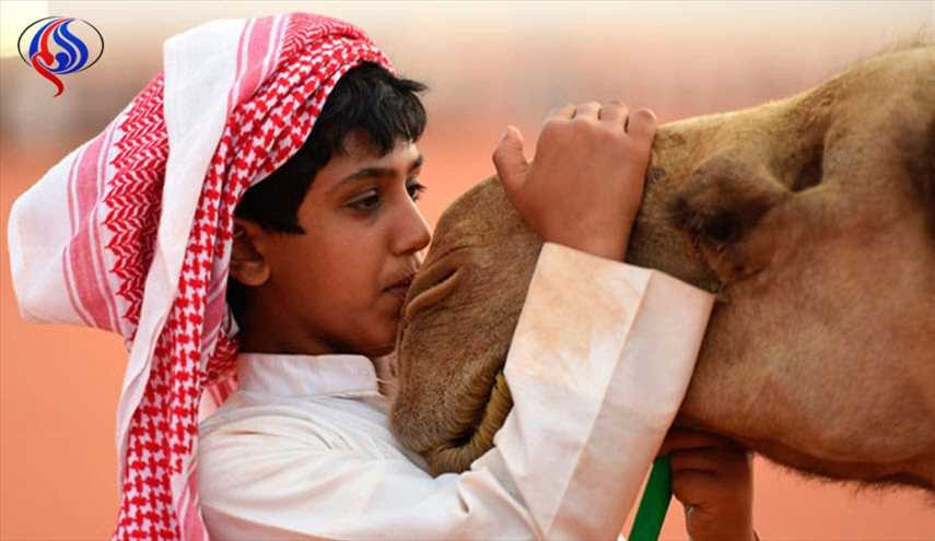 31 مليون دولار ستذهب لـ