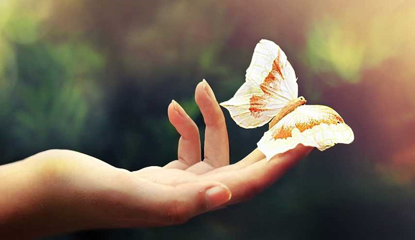 دست ها چه چیزهایی درباره سلامت ما می گویند؟