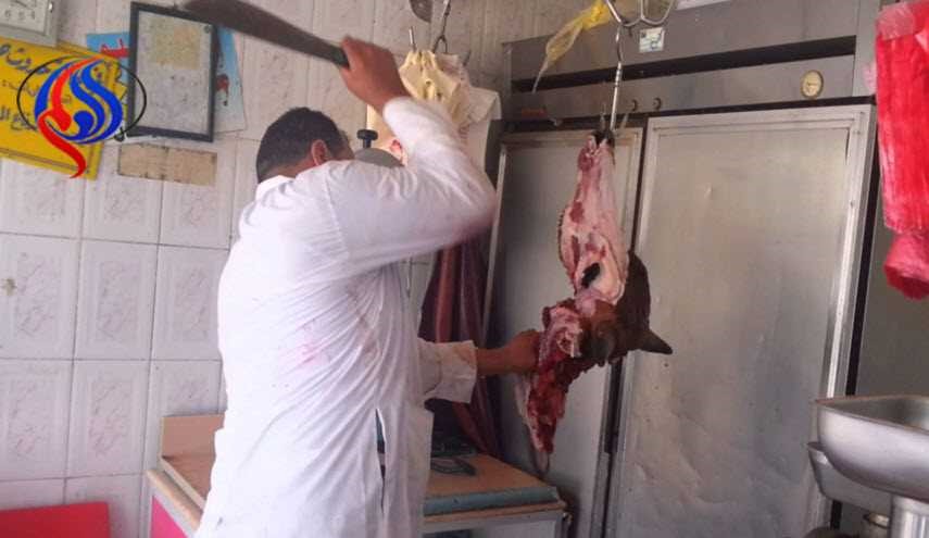 شاهد نتيجة شجار سيدة مع جارها الجزار!
