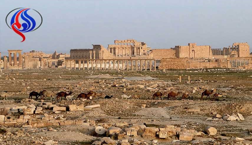 فيلم 