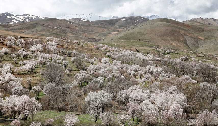 طبیعت بهاری استان همدان
