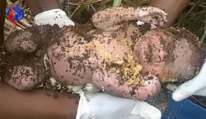 إخراج رضيع من قبر بعد 3 أيام من دفن أمّه له وهو حيّ !!