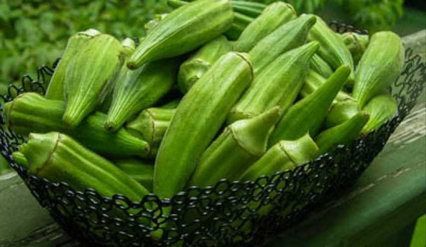 البامية.. دواءٌ لمرض السكري!