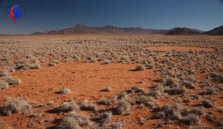 ابزار جدید فائو برای تقویت بهره‌وری آب