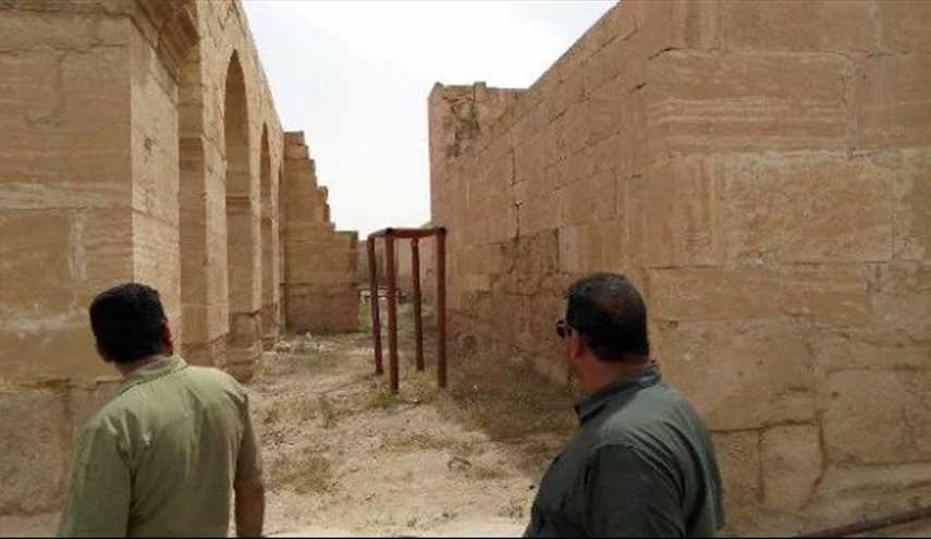 بالصور: ما الذي كان يفعله 